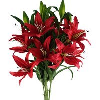 Pack of 6 x Large Lily Stem - 18 Flowers -  Red Lily