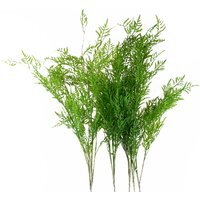 Pack of 6 x Artificial Boston Fern Stem Filler -  Boston Fern