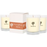 Soy Wax Scented Candles - 160g - Pack of 3 - Pumpkin Spice