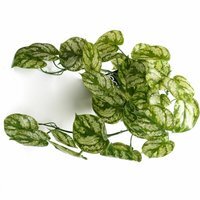 Leaf Artificial Trailing Light Natural Look Plant Realistic - Green
