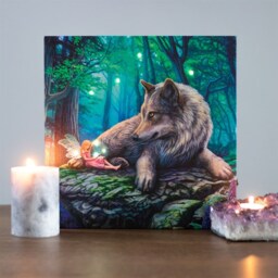 Lisa Parker's Fairy Stories Light Up Canvas Plaque - Green - thumbnail 5