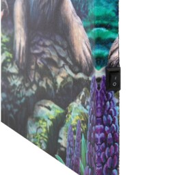 Lisa Parker's Fairy Stories Light Up Canvas Plaque - Green - thumbnail 3