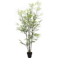 UV Botanica Bamboo Plant Green - Green