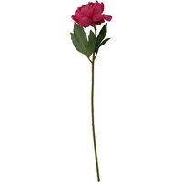 Fiori Fuchsia Peony Flower Stem - Pink