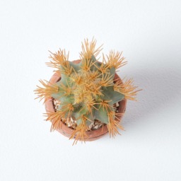 Homescapes Small Round Artificial Cactus in Terracotta Pot, 15cm Tall - Orange - thumbnail 4