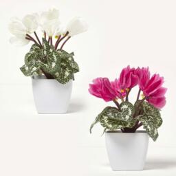 Homescapes Set of 2 Cyclamen Artificial Plant in White Pot, 24 cm - White, Pink - thumbnail 5