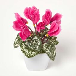 Homescapes Set of 2 Cyclamen Artificial Plant in White Pot, 24 cm - White, Pink - thumbnail 2