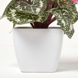 Homescapes Set of 2 Cyclamen Artificial Plant in White Pot, 24 cm - White, Pink - thumbnail 4