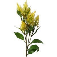 Callistemon Pallidus Yellow Bottle Brush Stem Flowers - Yellow Bottle Brush