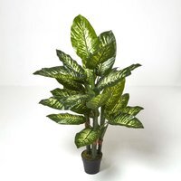 Homescapes Dieffenbachia Dumb Cane Plant in Pot, 150 cm Tall - Green - image 1