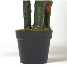 Homescapes Dieffenbachia Dumb Cane Plant in Pot, 150 cm Tall - Green - thumbnail 4