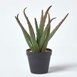 Homescapes Aloe Vera Artificial Succulent in Black Pot, 30 cm Tall - Green - thumbnail 2