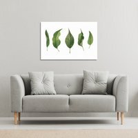 Selection Of leaves Canvas Print - Green / 101cm / 127cm - image 1