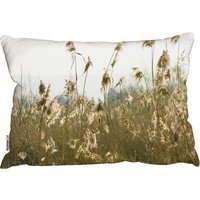 Pampus Grass Plumes Slimbridge Outdoor Cushion - Yellow - image 1
