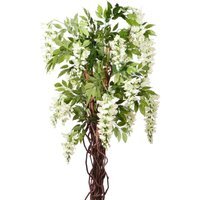 Cream Wisteria Potted Tree 6ft - White