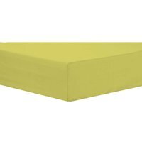 Basics Fitted Sheet - Ochre / King