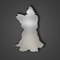 Yorkshire Terrier Silver Acrylic Mirror - Silver / 60cm