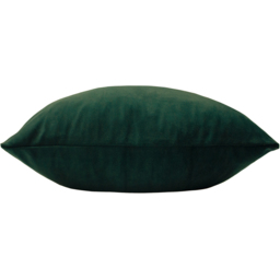 Sunningdale Velvet Cushion - Bottle / Feather / 50cm - thumbnail 2