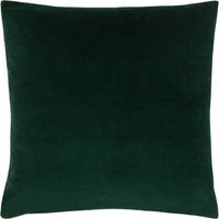Sunningdale Velvet Cushion - Bottle / Feather / 50cm - thumbnail 1