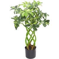 70cm Leaf Artificial Arboricola Evergreen Plant ¿ Golden Capella - Green
