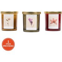 Botanical Scented Candle - image 1