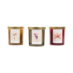 Botanical Scented Candle - thumbnail 2
