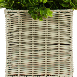 Petunia and Lavender in Rattan Pot - Multicolour - thumbnail 4