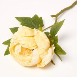 Artificial Stem of Dried Peony Flowers, 48 cm - Yellow - thumbnail 3