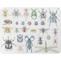 Many Species In Vintage Old Hand Drawn Style Blanket - White - thumbnail 2