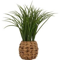 Grass in Water Hyacinth Basket - Green - image 1