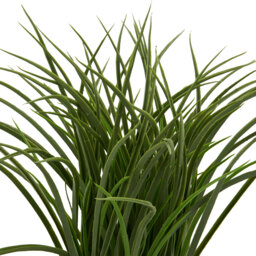 Grass in Water Hyacinth Basket - Green - thumbnail 2