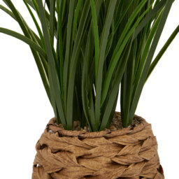Grass in Water Hyacinth Basket - Green - thumbnail 3