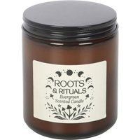 Roots Rituals Evergreen Amber Glass Candle Forest Scent Burn - Green - image 1