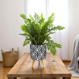 Black and White Indoor Cement Plant Pot on Legs - Triangle Shape / 13.5cm / 700g - thumbnail 5