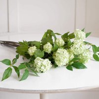 Artificial Single Cream Guelder Rose Branch Flower Stem L60cm - White - thumbnail 1