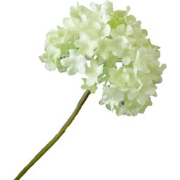 Artificial Single Cream Guelder Rose Branch Flower Stem L60cm - White - thumbnail 3