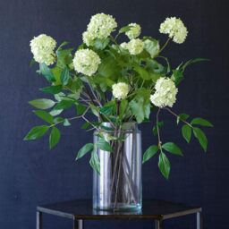 Artificial Single Cream Guelder Rose Branch Flower Stem L60cm - White - thumbnail 5