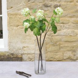 Artificial Single Cream Guelder Rose Branch Flower Stem L60cm - White - thumbnail 4