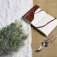 Frosted Pine Spray With Pinecones - White