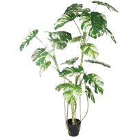 Leaf Artificial Monstera Plant - 210cm Variegated Monstera / 210cm / 120cm