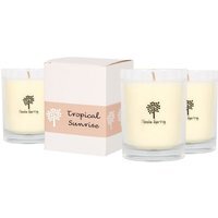 Soy Wax Scented Candles - 160g - Pack of 3 - Tropical Sunrise