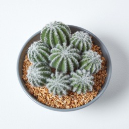 Homescapes Artificial Barrel Cactus Arrangement in Round Grey Pot, 17 cm Tall - Green - thumbnail 4