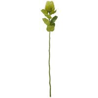 Set of 3 Banksia Artificial Flower Stems - Green
