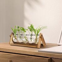 5 Glass Bulbs Vase with Wooden Stand - Clear