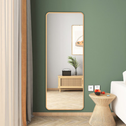 Door Hanging Full Length Mirror - Gold - thumbnail 3