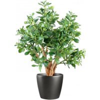 Leaf Artificial Bonsai Tree - 70cm Deluxe Jade Plant / 40cm