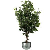 Artificial Evergreen Ficus Tree - Evergreen Ficus Silver Curve / 60cm / 25cm / 110cm