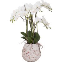 Wyld Haus Large Artificial White Orchid in Rustic Stone Pot with Aerial Roots - White