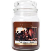 Scented Large Mason Jar Candle - Oak Moss and Amber