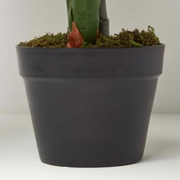 Homescapes Taro Plant in Pot, 90 cm Tall - Green - thumbnail 3